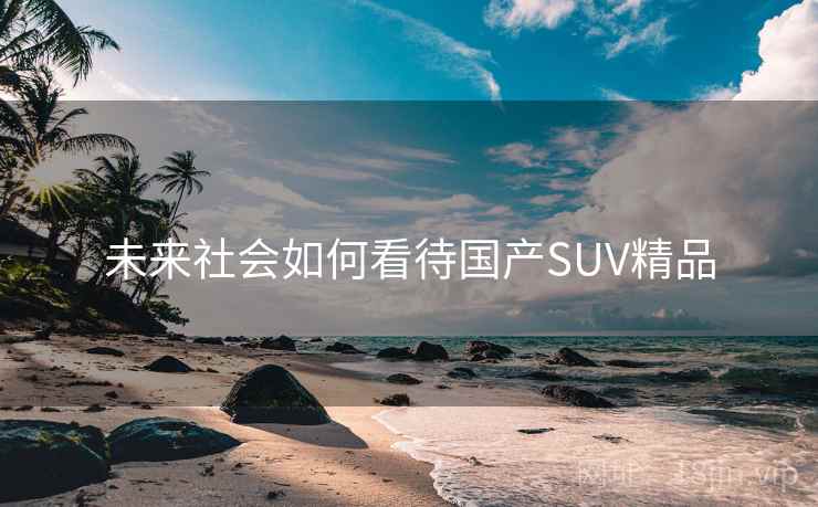 未来社会如何看待国产SUV精品  第2张