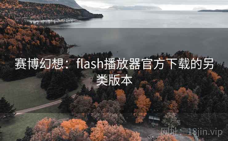 赛博幻想:flash播放器官方下载的另类版本 第2张 赛博幻想:flash播放器官方下载的另类版本 第2张